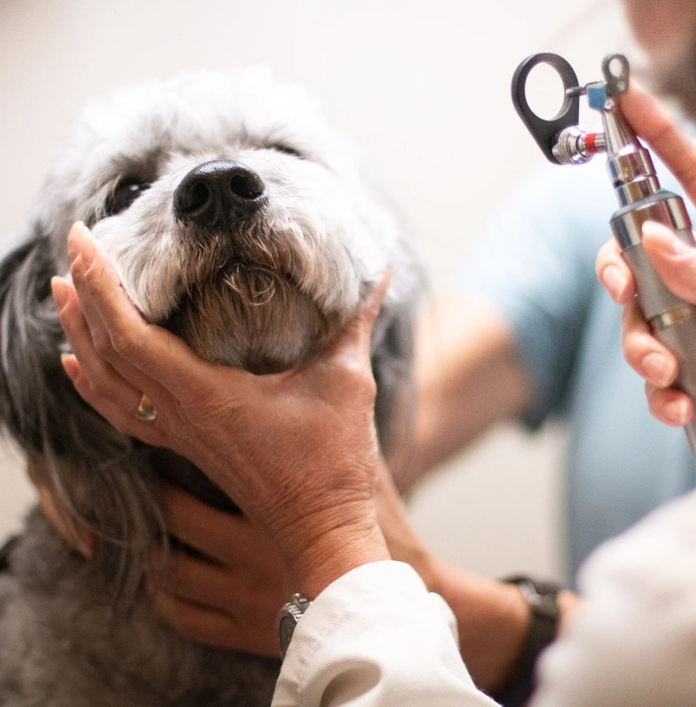 Preventative Care Charlotte