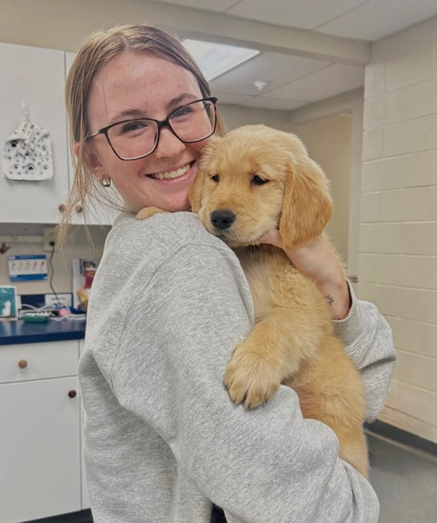 Dog Preventative Care